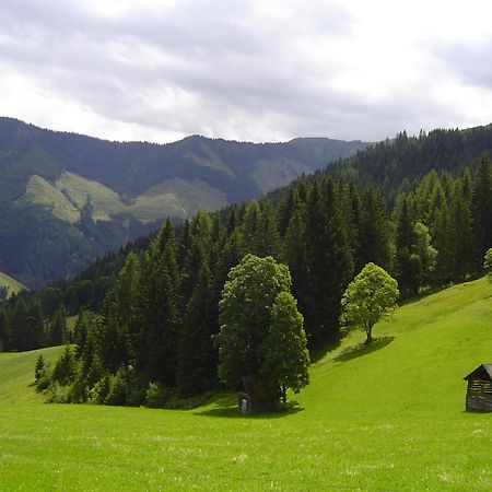 Villa Kirchenbichlerhof Pruggern Esterno foto