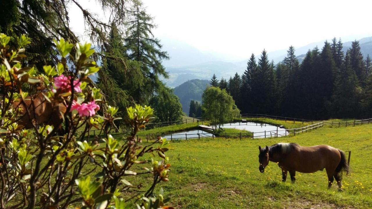 Villa Kirchenbichlerhof Pruggern Esterno foto