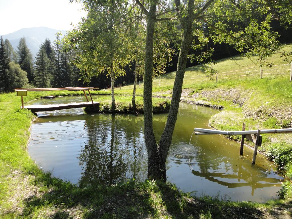 Villa Kirchenbichlerhof Pruggern Esterno foto