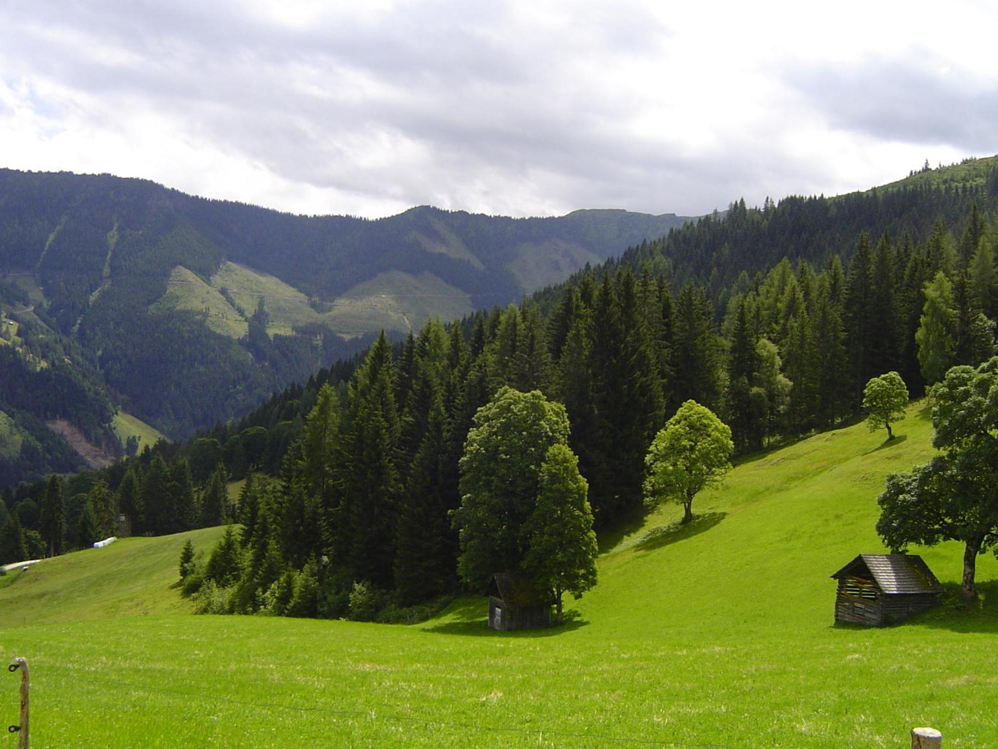 Villa Kirchenbichlerhof Pruggern Esterno foto